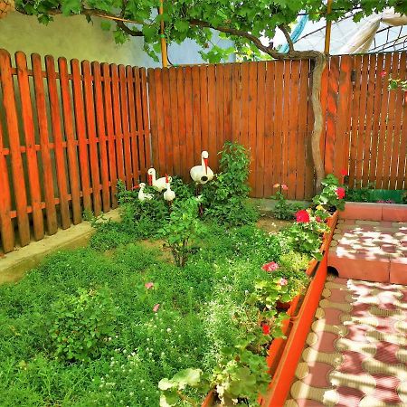 Casa Nelu Pescaru Hotel Mahmudia Ngoại thất bức ảnh