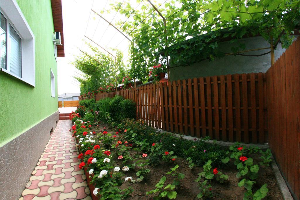 Casa Nelu Pescaru Hotel Mahmudia Ngoại thất bức ảnh