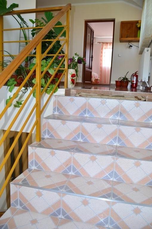 Casa Nelu Pescaru Hotel Mahmudia Ngoại thất bức ảnh