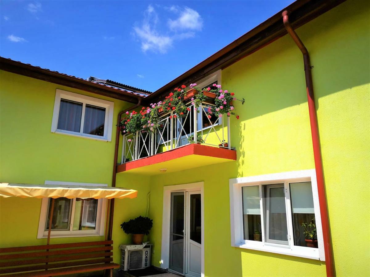 Casa Nelu Pescaru Hotel Mahmudia Ngoại thất bức ảnh